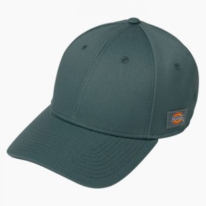 Dickies 874 Verzi | DFCH7820