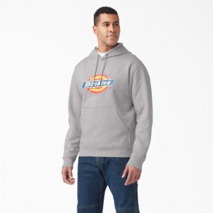 Dickies Apa Repellent Tri-Color Logo Hoodie Gri | FIAS8973