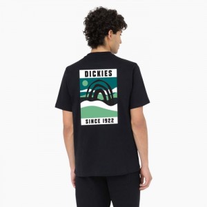 Dickies Baker City Scurte Sleeve T-Shirt Negrii | WQLM1745