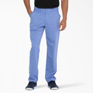 Dickies Balance Zip Fly Scrub Pants Albastri | QXWF3534