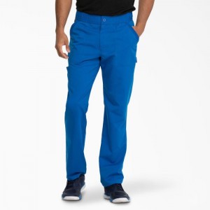 Dickies Balance Zip Fly Scrub Pants Albastru Regal Albastri | NJKW6858