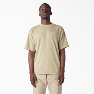 Dickies Bandon Scurte Sleeve T-Shirt Maro Albastru Deschis | JGGF4310
