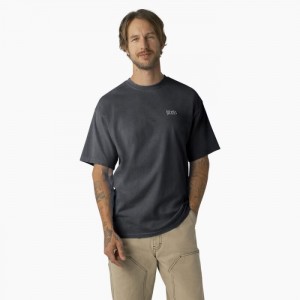 Dickies Bandon Scurte Sleeve T-Shirt Negrii Albastru Deschis | WEIR9473