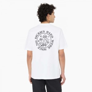 Dickies Bayside Gardens Scurte Sleeve T-Shirt Albi | OCKM2763