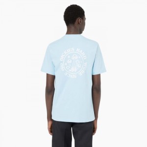 Dickies Bayside Gardens Scurte Sleeve T-Shirt Albastri | QOUG3124