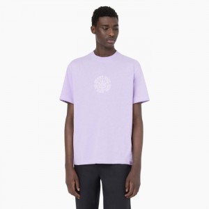 Dickies Beavertown Scurte Sleeve T-Shirt Violet Roz | FQMP0616