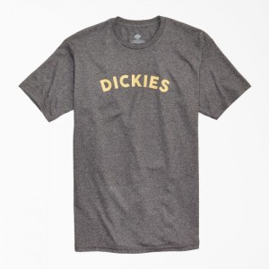 Dickies Block Text Grafice T-Shirt Gri | EFGX6177