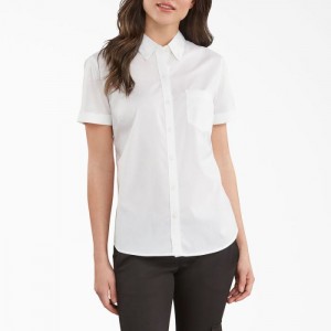 Dickies Button-Up Shirt Albi | PBLW3867