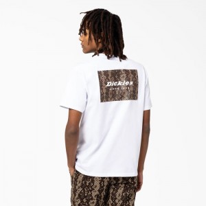 Dickies Camden Box Grafice T-Shirt Albi | SBFF4325