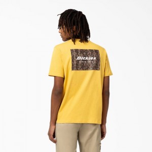 Dickies Camden Box Grafice T-Shirt Aurii | PRVD4876