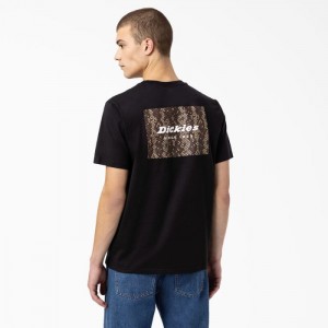 Dickies Camden Box Grafice T-Shirt Negrii | YFMW0717
