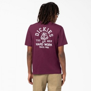 Dickies Cleveland Scurte Sleeve Grafice T-Shirt Violet Visinii | HAJJ5178