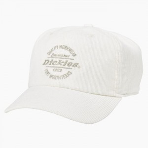 Dickies Corduroy Cap Bej | XELT2569