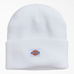 Dickies Cuffed Knit Beanie Albi | AGGP2116