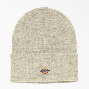 Dickies Cuffed Knit Beanie Bej | BYSK8046