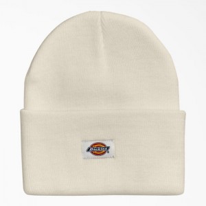 Dickies Cuffed Knit Beanie Bej | XPGF4643
