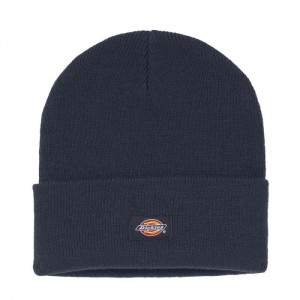 Dickies Cuffed Knit Beanie Bleumarin | WKXX6900