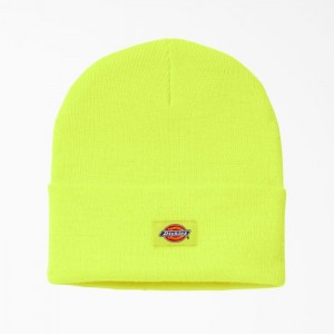 Dickies Cuffed Knit Beanie Galbeni | SNBS6925