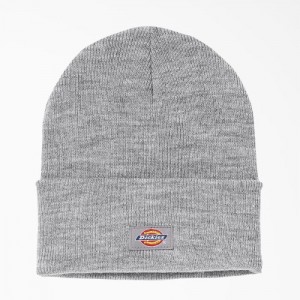 Dickies Cuffed Knit Beanie Gri | GFPA1858