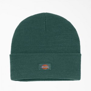 Dickies Cuffed Knit Beanie Verzi | DYGL0087
