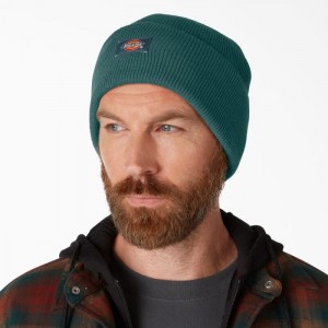 Dickies Cuffed Knit Beanie Verzi | ZSRW3657