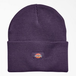 Dickies Cuffed Knit Beanie Violet | UCWW7850