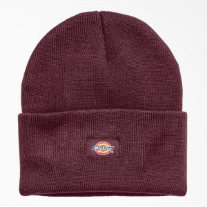 Dickies Cuffed Knit Beanie Visinii | MLIW3917