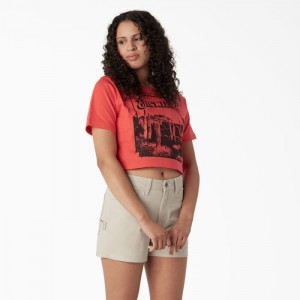 Dickies Desert Grafice Cropped T-Shirt Bittersweet | BLDD2991