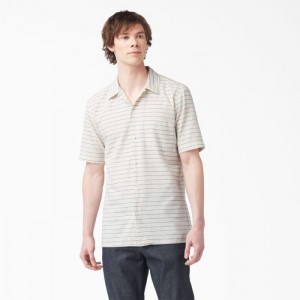 Dickies Dickies 1922 Scurte Sleeve Shirt Albastri | KIDO8003