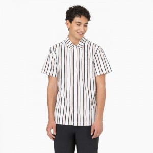 Dickies Dickies Skateboarding Cooling Relaxed Fit Shirt Albi Negrii | LWDA5959