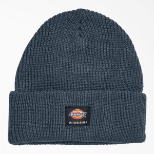 Dickies Dickies Skateboarding Cuffed Beanie Albastri | AHEK8342