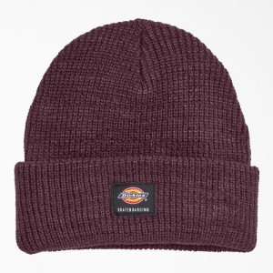 Dickies Dickies Skateboarding Cuffed Beanie Visinii | RDAO7625