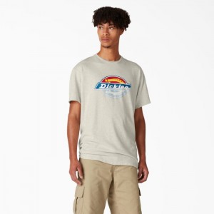 Dickies Dickies Skateboarding Distressed OG Grafice T-Shirt Bej | VMEY9276