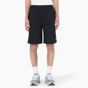 Dickies Dickies Skateboarding Grants Pass Relaxed Fit Shorts, 9" Negrii | DSXI2279