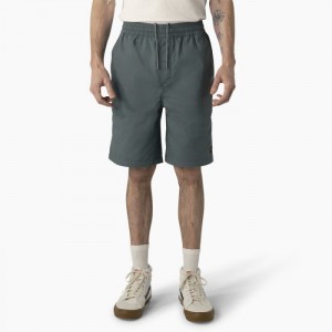 Dickies Dickies Skateboarding Grants Pass Relaxed Fit Shorts, 9" Verzi | KABH6963