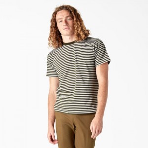 Dickies Dickies Skateboarding In Dungi T-Shirt Masline Verzi Inchis Albi | QIBN9350