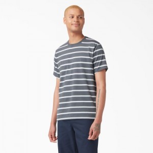 Dickies Dickies Skateboarding In Dungi T-Shirt Gri | CEWI0047