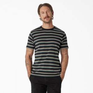 Dickies Dickies Skateboarding In Dungi T-Shirt Negrii Verzi | HKZS7044
