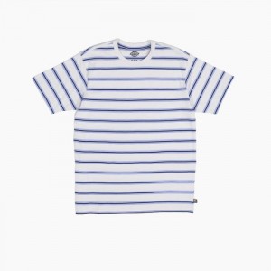Dickies Dickies Skateboarding In Dungi T-Shirt Gri Deschis | DQCG4924