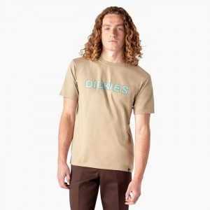 Dickies Dickies Skateboarding Logo T-Shirt Maro | TXLU5626