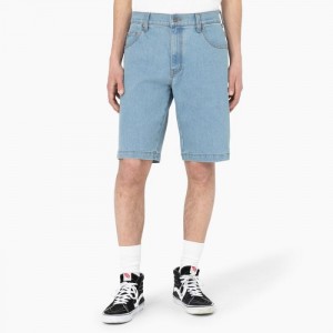 Dickies Dickies Skateboarding Loose Fit Wingville Shorts, 11" Albastri Deschis | OTQQ0480
