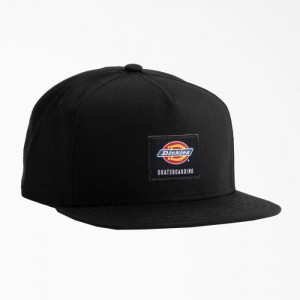 Dickies Dickies Skateboarding Mid-High Pro Cap Negrii | JSAW1666