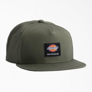 Dickies Dickies Skateboarding Mid-High Pro Cap Verzi | OSRE5242