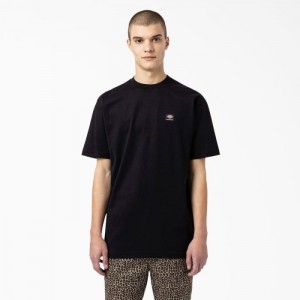 Dickies Dickies Skateboarding Mount Vista T-Shirt Negrii | SRWZ2038