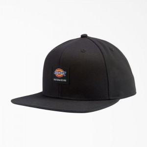 Dickies Dickies Skateboarding Plati Bill Cap Negrii | COGC6097