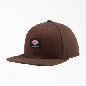 Dickies Dickies Skateboarding Plati Bill Cap Ciocolata Maro | WYNF8456