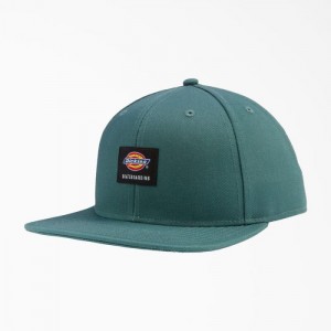 Dickies Dickies Skateboarding Plati Bill Cap Verzi | GHAY8918
