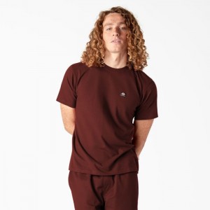Dickies Dickies Skateboarding Regular Fit Chest Logo T-Shirt Rosii Inchis | HTTL8421