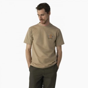 Dickies Dickies Skateboarding Regular Fit Chest Logo T-Shirt Maro | IDEQ1803