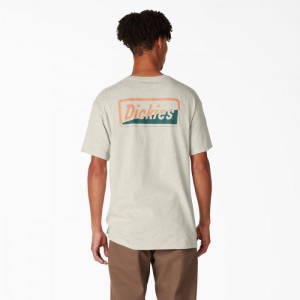 Dickies Dickies Skateboarding Split Grafice T-Shirt Bej | HTEC5812